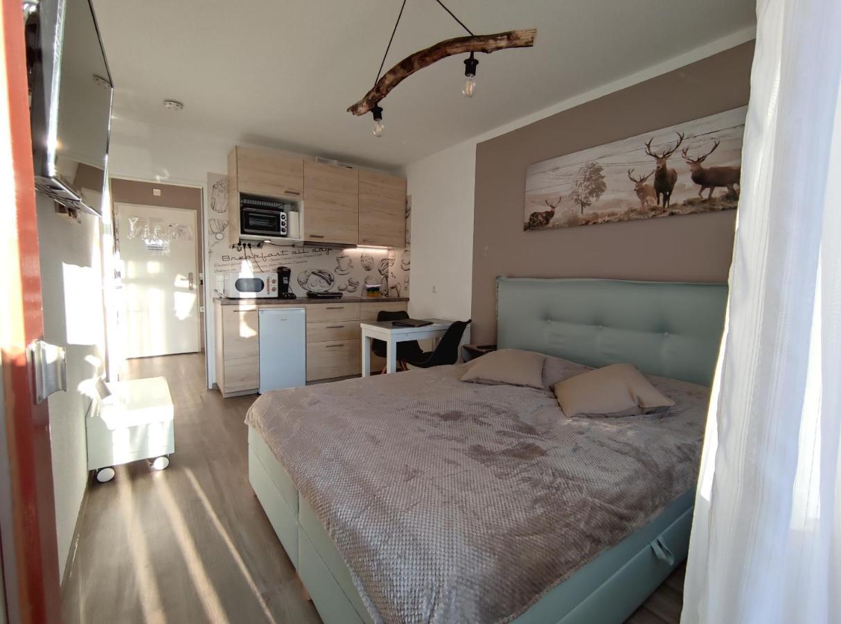 Studio 20Qm Mit Balkon Und Innenpool - 22010 Schluchsee Εξωτερικό φωτογραφία